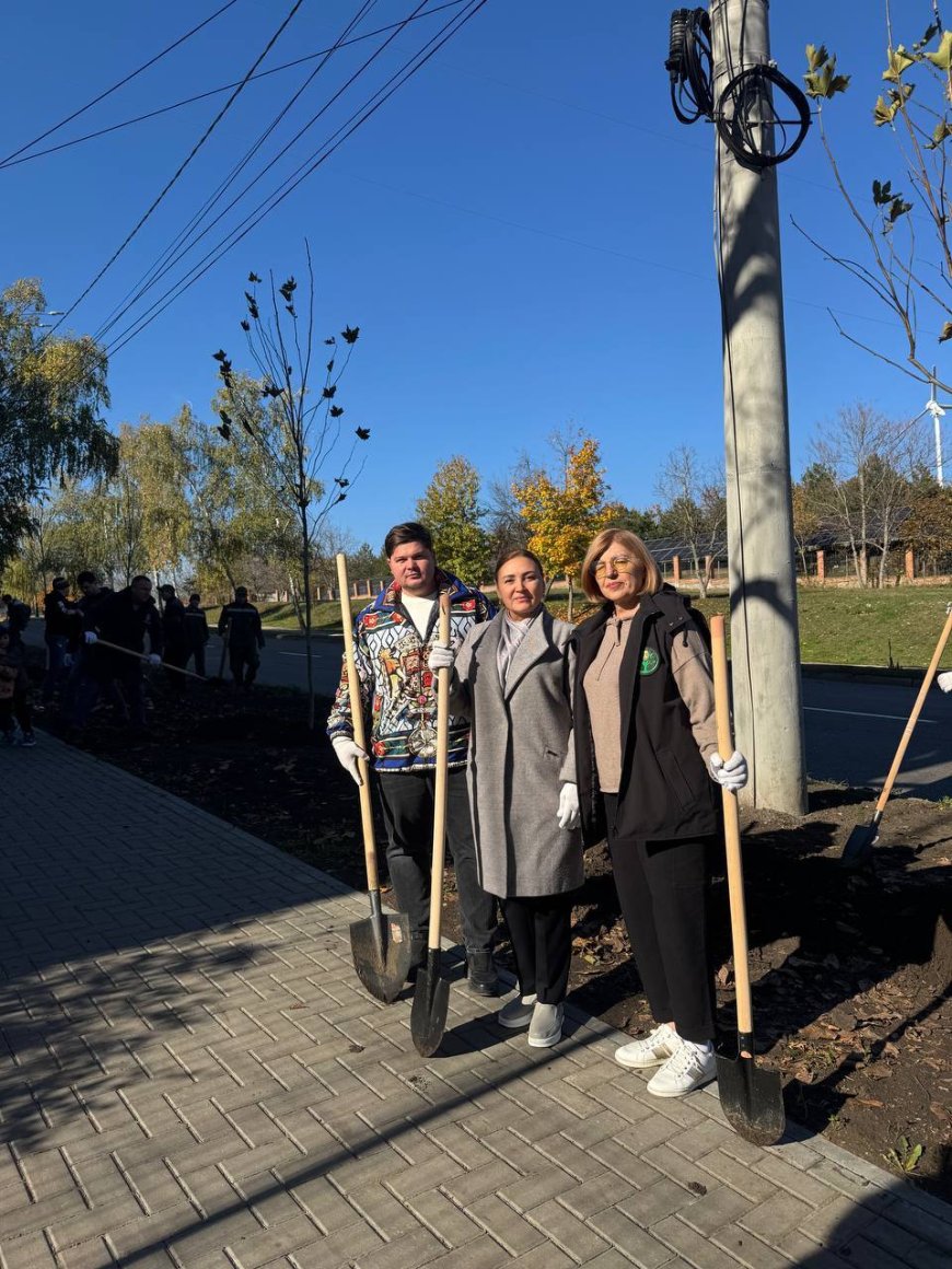 O nouă acțiune de plantare în sectorul Rîșcani.