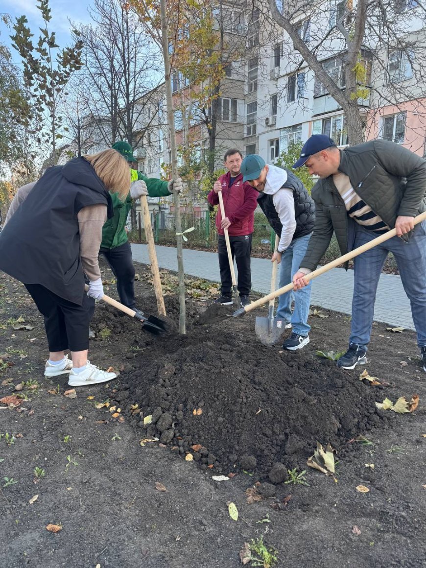 O nouă acțiune de plantare în sectorul Rîșcani.