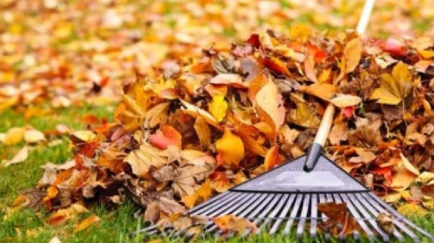 INVITAȚIE! Salubrizarea albiei râului „Țiganca”