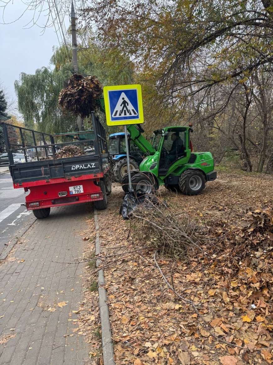 Curățenia de toamnă continuă: Râulețul Țiganca