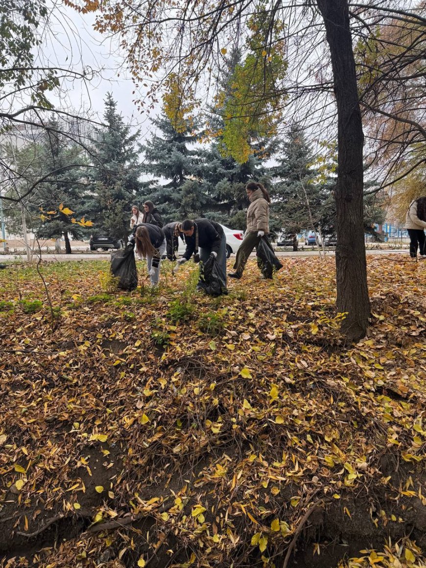 Curățenia de toamnă continuă: Râulețul Țiganca
