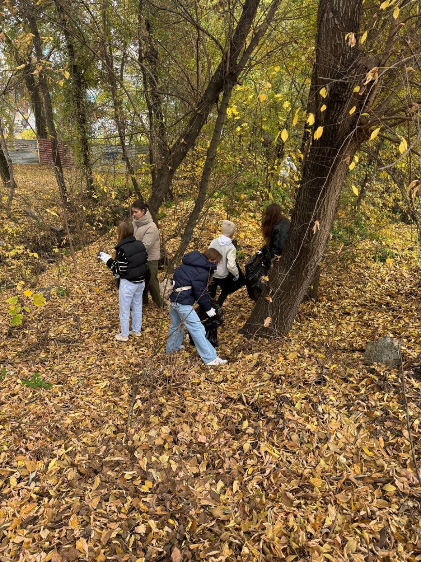 Curățenia de toamnă continuă: Râulețul Țiganca