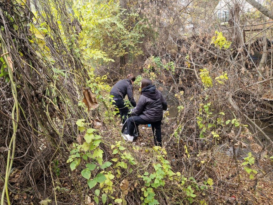 Curățenia de toamnă continuă: Râulețul Țiganca