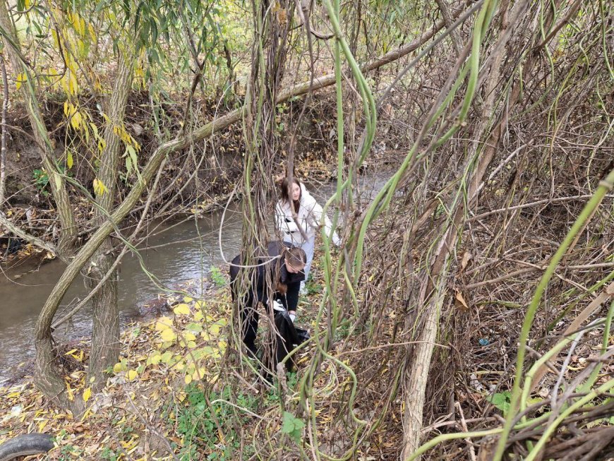 Curățenia de toamnă continuă: Râulețul Țiganca