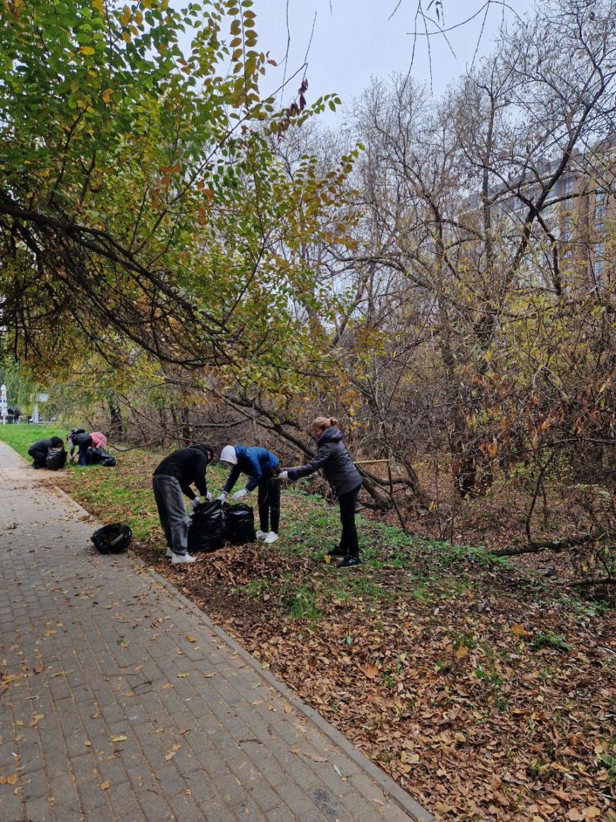 Curățenia de toamnă continuă: Râulețul Țiganca