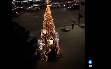 Crăciun fericit tuturor!❄️