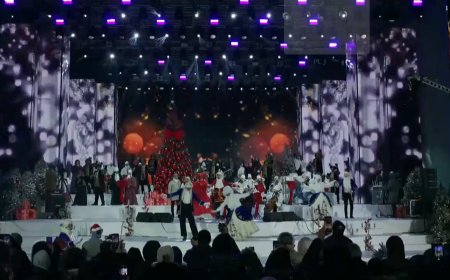 Divertisment de Revelion “Visul unei nopți de iarnă”