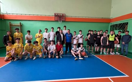 Competiții sportive interșcolare la baschet