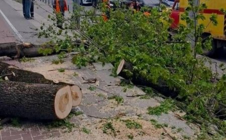 ❗️ATENȚIE! Cod Portocaliu de intensificări ale vântului Primăria Chișinău amintește că, Serviciul Hidrometeorologic de S...