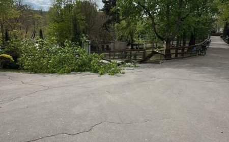 ❗️INFORMARE În Chișinău se intervine la înlăturarea consecințelor provocate de condițiile meteo nefavorabile.  Echipele...