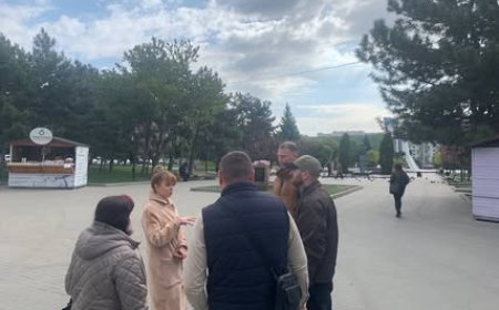 Monitorizarea Zonelor Verzi și a Siguranței Urbane