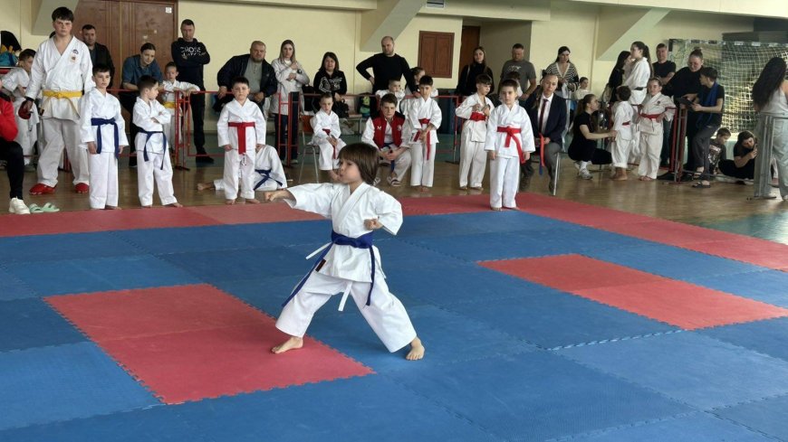 Karate-do „Chișinău Cup”