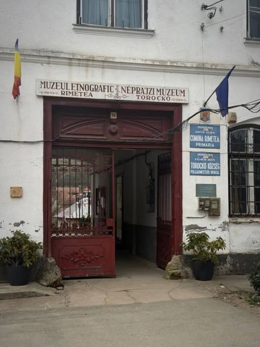 Primii pași sunt întotdeauna mai ușori alături de mentori dedicați