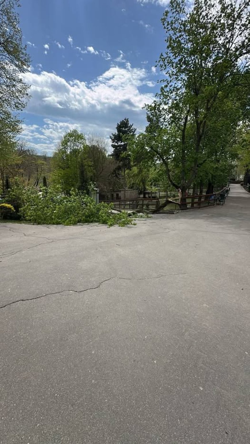 ❗️INFORMARE În Chișinău se intervine la înlăturarea consecințelor provocate de condițiile meteo nefavorabile.  Echipele...