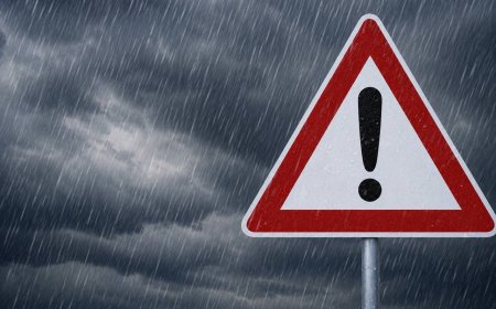Serviciile municipale de profil au intervenit pe durata căderii precipitațiilor abundente
