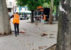 Toate echipele intervin pe străzile capitalei și rămân în teren pentru a monitoriza situația, în caz de necesitate.  Cod...