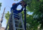 Primăria Chișinău informează că, pe parcursul săptămânii trecute, echipele Î.M. REI „Lumteh” au desfășurat lucrări com...