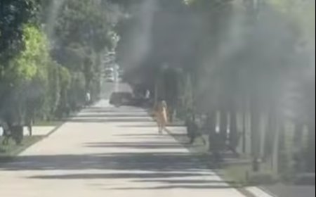 O oază de răcoare în inima sectorului Rîșcani!  Primăria Municipiului Chișinău prin intermediul Preturii sectorului Rîșc...