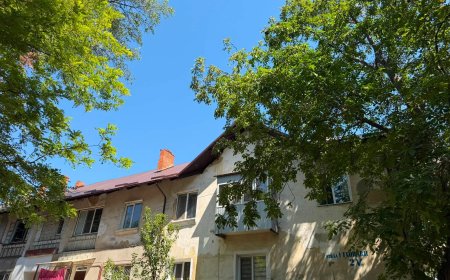 Au fost finalizate lucrările de reparație a acoperișului la blocul din stradela Florării 2V. Lucrările au fost executate...
