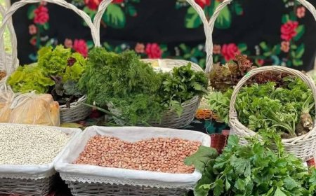 ☝️Vă informăm că în weekendul, 17-18 octombrie, în sectoarele capitalei vor fi desfășurate iarmaroace și târguri cu prod...
