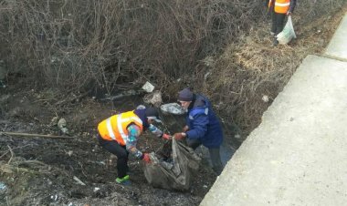 Marea curățenie de primăvară  În continuare, ne...