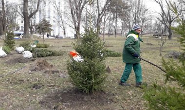 Pentru un sector mai verde, mai curat!  În sectorul Rîșcani...