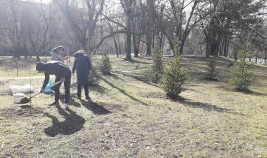 Cu acțiuni de înverzire a sectorului  Ca în fiecare...