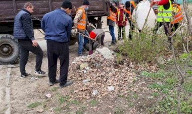 Salubrizarea, 14.04.2021 Curățarea platformelor de gunoi,...