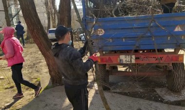 Vreme bună, muncim Astăzi, 12.04.2021, toate serviciile...