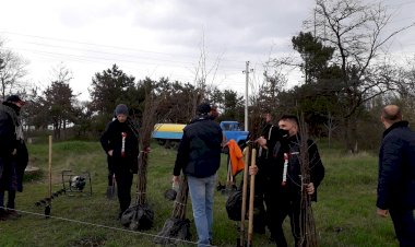Continuă perioada de plantare Dezvoltăm conlucrarea pentru...
