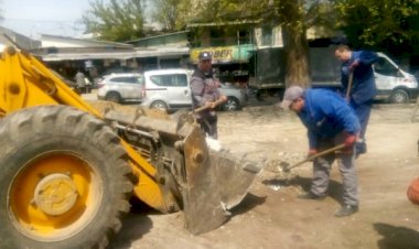 Adrese în lucru Str. N. Dimo, 9/1, 14, str. A. Doga, 32, 28;...